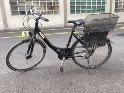 Une image de l'objet 'Black Beauty'