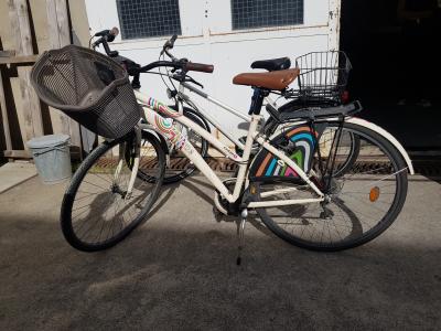 Une image de l'objet 'Borrego Badalado'