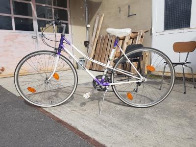 Une image de l'objet 'BulBizarre'